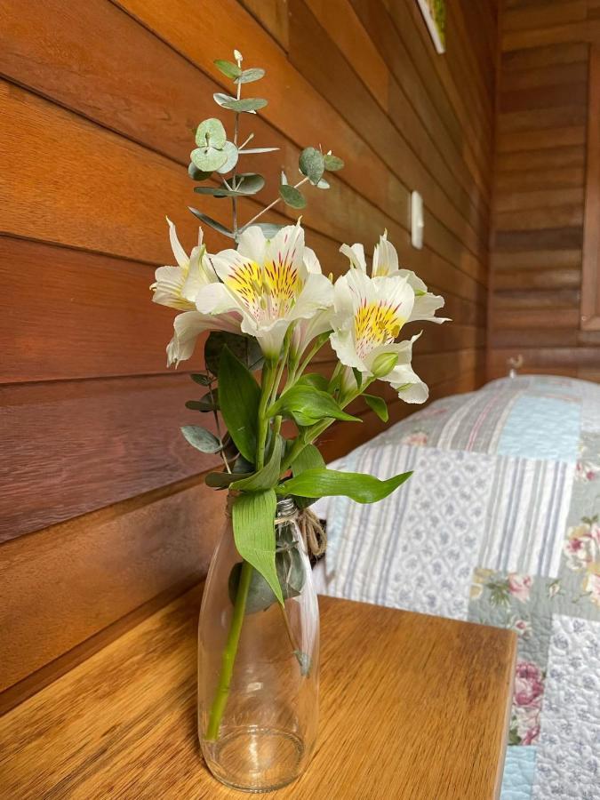 Chale Dos Alpes Verdes Holiday home *